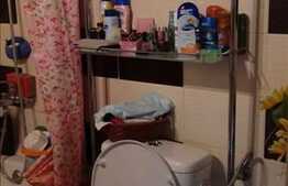 Vanzare 2 camere, integral renovat, zona strazii Castanilor