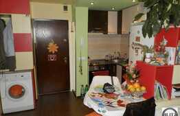 Vanzare 2 camere, integral renovat, zona strazii Castanilor