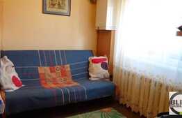 Vanzare 2 camere, integral renovat, zona strazii Castanilor