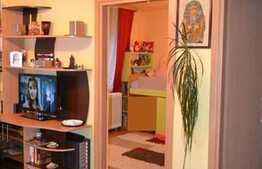 Vanzare 2 camere, integral renovat, zona strazii Castanilor