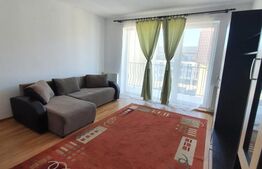 Apartament 1 camera , intermediar, decomandat, balcon, zona Florilor