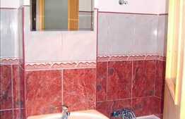 Apartament de vanzare, 1 camera, 45 mp,loc de parcare, zona Aleea Balea!