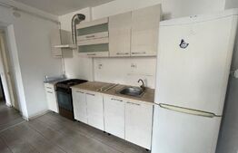 Apartament 2 camere, în curs de renovare, zona Eremia Grigorescu