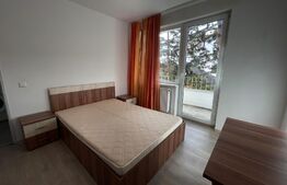 Apartament 2 camere, în curs de renovare, zona Eremia Grigorescu