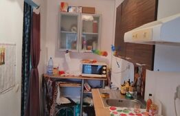 Garsoniera spatioasa , 31 mp, terasa 10 mp, zona Eroilor .