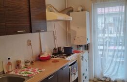 Garsoniera spatioasa , 31 mp, terasa 10 mp, zona Eroilor .