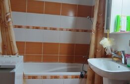 Garsoniera spatioasa , 31 mp, terasa 10 mp, zona Eroilor .