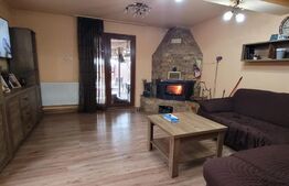 Casa individuala 120 mp, 1100 mp teren, Someseni