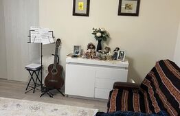 Apartament cu 1 camera, in Apahida