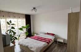 Apartament de 2 camere mobilat, etajul 1, parcare, zona Eroilor