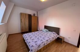 Apartament 2 camere, parcare, 45 mp, zona Muzeul Apei