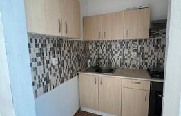 Apartament 2 camere, parcare, 45 mp, zona Muzeul Apei