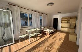 Apartament 2 camere, parcare, 45 mp, zona Muzeul Apei