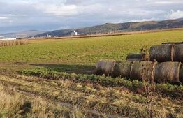 Teren 25500 mp, la intrare in Gherla, pentru hala industriala!