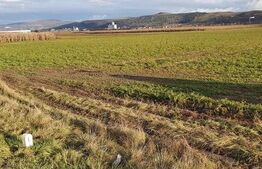 Teren 25500 mp, la intrare in Gherla, pentru hala industriala!