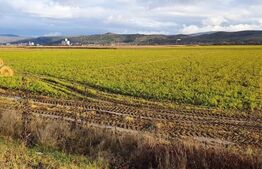 Teren 25500 mp, la intrare in Gherla, pentru hala industriala!