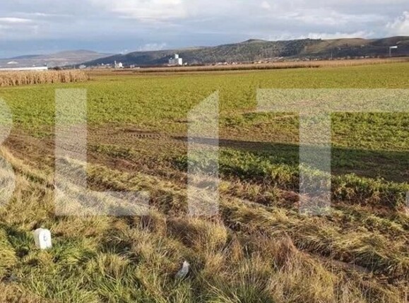 Teren de vânzare Exterior Est - 106930TV | BLITZ Cluj-Napoca | Poza5