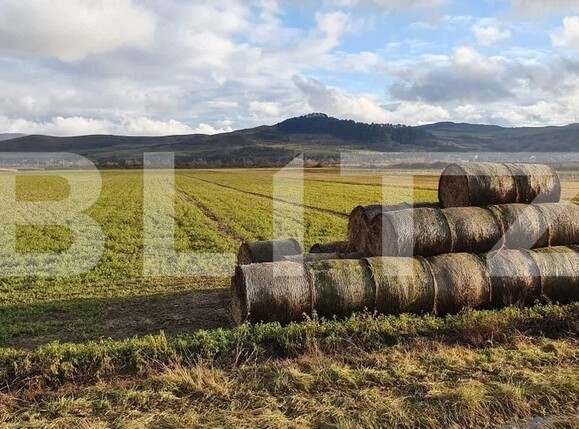 Teren de vânzare Exterior Est - 106930TV | BLITZ Cluj-Napoca | Poza1