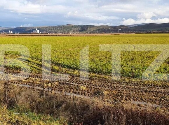 Teren de vânzare Exterior Est - 106930TV | BLITZ Cluj-Napoca | Poza4