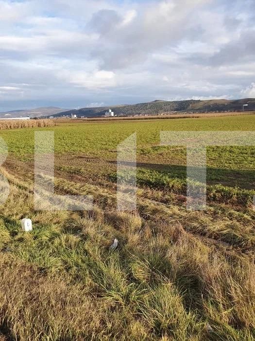 Teren de vânzare Exterior Est - 106930TV | BLITZ Cluj-Napoca | Poza5