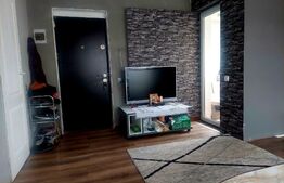 Apartament 1 camera , spatios , 33 mp , view extraordinar , zona Teilor