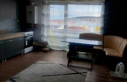 Apartament 1 camera , spatios , 33 mp , view extraordinar , zona Teilor