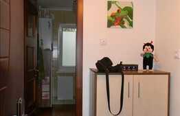 Vanzare 3 camere, 65 mp, etaj intermediar, izolat exterior, zona Profi!