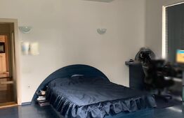 Apartament de 3 camere la casa, 91mp, curte 175mp, zona Eremia Grigorescu