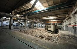 Hala de 2200mp cu pod rulant 