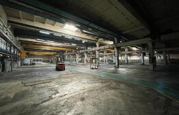 Hala de 2200mp cu pod rulant 