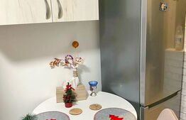 Garsoniera cocheta, 20 mp, zona Facultatii de Politehnica 