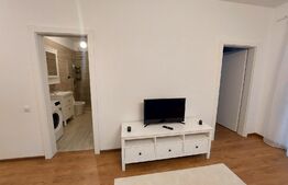 Apartament 2 camere, 52 mp, cochet, gradina, parcare, zona Cetatii 