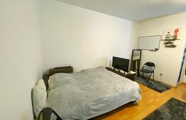 Garsoniera de vanzare, 32 mp, etajul 1, Zona BIG 