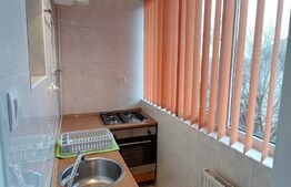 Apartament cu 2 camere, pet friendly, 70mp, zona Garii