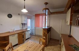 Apartament cu 2 camere, pet friendly, 70mp, zona Garii
