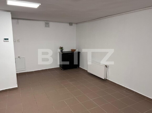 Spațiu comercial de închiriat Someseni - 107177SIC | BLITZ Cluj-Napoca | Poza2