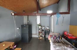 Casa individuala la cheie cu garaj, 135 mp utili, 507 mp teren in Dambu Rotund 