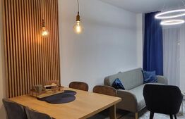 Apartament decomandat, lux, gradina de 50 mp, parcare, zona Somesului