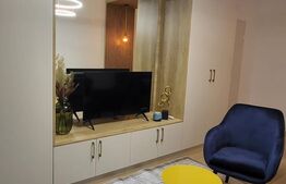 Apartament decomandat, lux, gradina de 50 mp, parcare, zona Somesului
