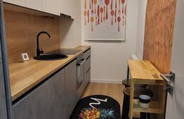 Apartament decomandat, lux, gradina de 50 mp, parcare, zona Somesului