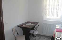 Apartament de inchiriat, 1 camera, mobilat modern, zona Stejarului!