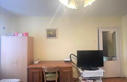 Apartament 2 camere, 50 mp, zona strazii Horea