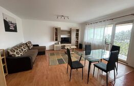 Garsoniera, 40 mp, parcare, pet friendly, zona Gheorghe Dima