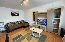 Garsoniera, 40 mp, parcare, pet friendly, zona Gheorghe Dima