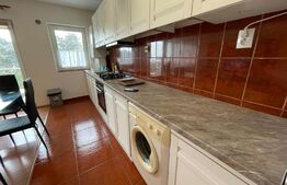 Garsoniera, 40 mp, parcare, pet friendly, zona Gheorghe Dima