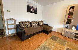 Garsoniera, 40 mp, parcare, pet friendly, zona Gheorghe Dima