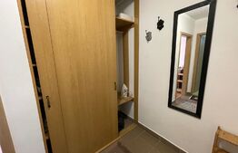 Garsoniera, 40 mp, parcare, pet friendly, zona Gheorghe Dima