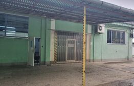 Hale pentru depozitare, birouri si productie, 484 mp, in zona strazii Fabricii