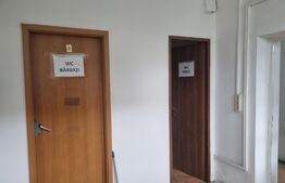 Hale pentru depozitare, birouri si productie, 484 mp, in zona strazii Fabricii