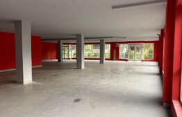 Investitie cu randament de peste 7 %! 383 mp, Retailer alimentar